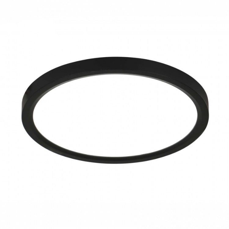 Потолочный светильник 25920/300 Black