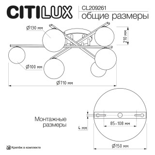 Люстра CITILUX  CL209261 GLOB черный